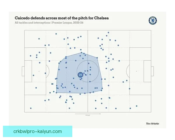 新赛季阵型大揭秘，球队战术变革备受关注，呈现新面貌
