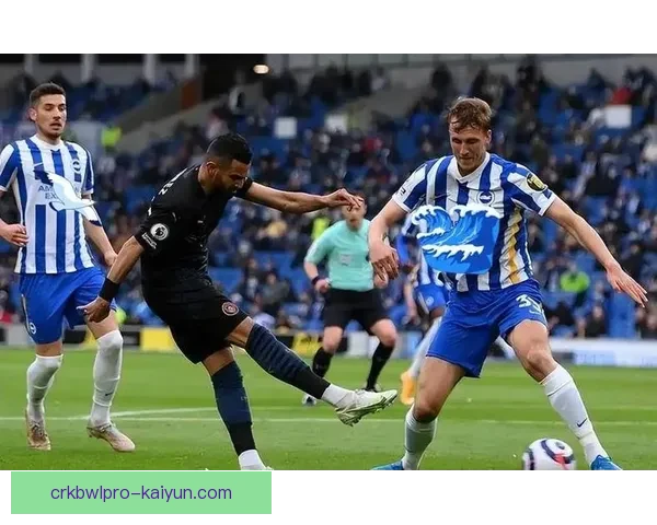 英超布莱顿在新赛季表现稳健，竞争力增强引人关注