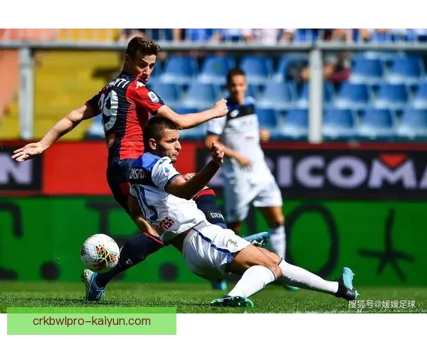 维罗纳未来规划迎来新挑战，球队将在新赛季中寻求进一步的竞争力增强。